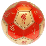 Liverpool FC Fodbold YNWA