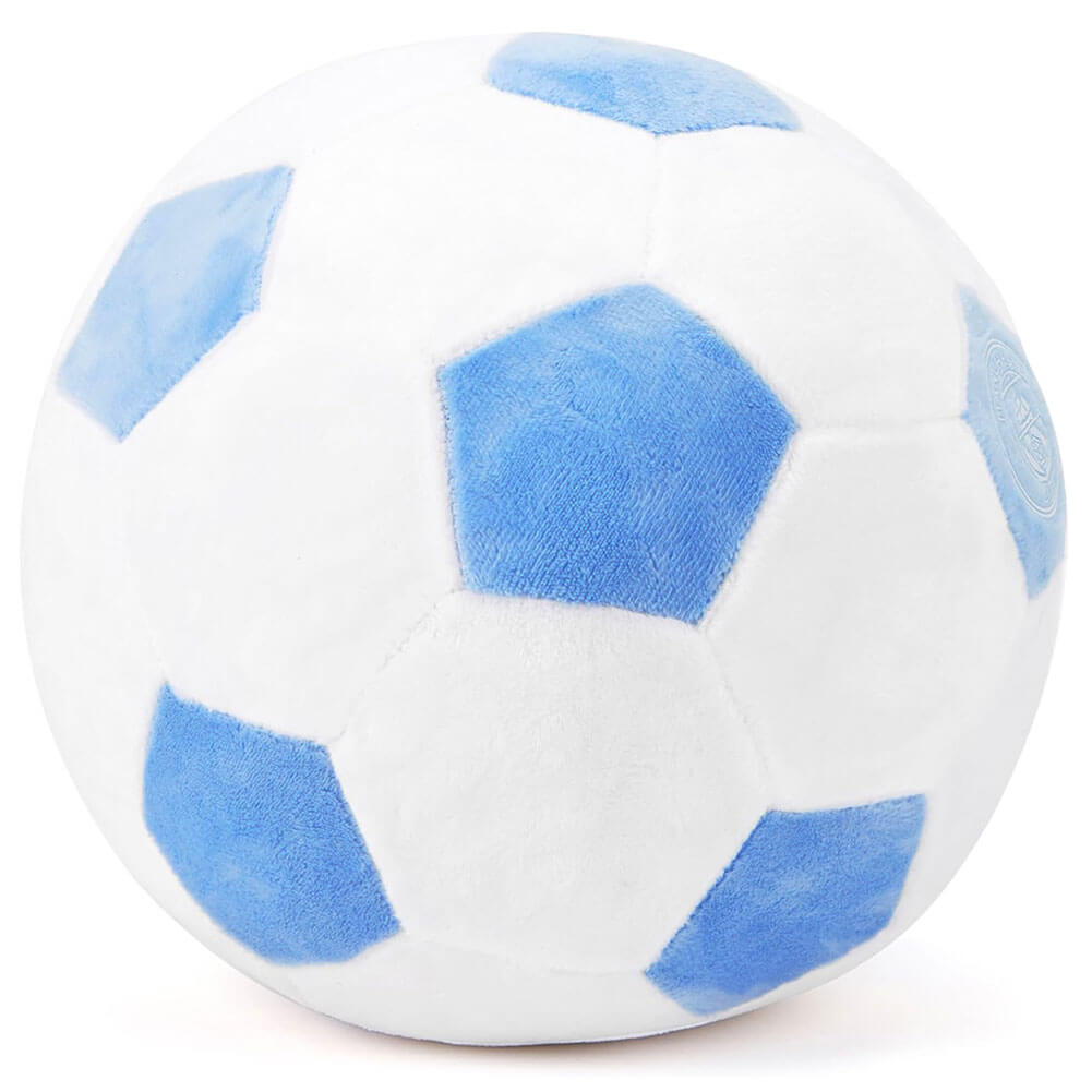 Manchester City Plys fodbold