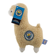 Manchester City Plys lama