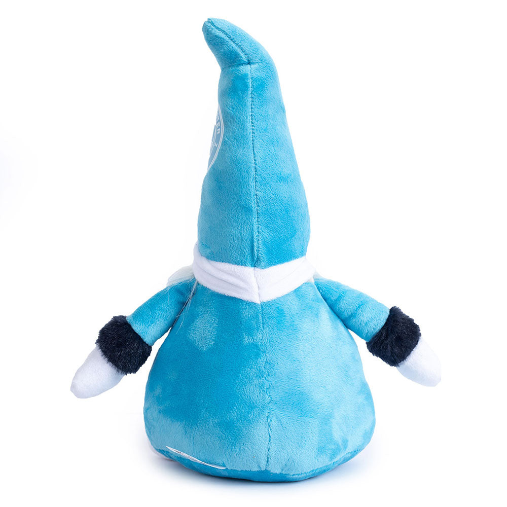 Manchester City Nisse