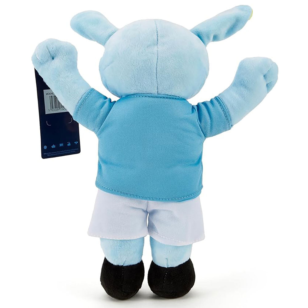 Manchester City Bamse