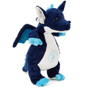 Manchester City Drage