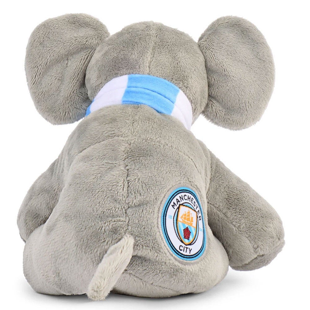 Manchester City Plyselefant