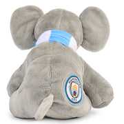 Manchester City Plyselefant