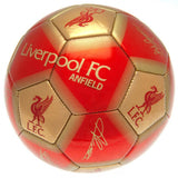 Liverpool FC - Fodbold m. autografer - Metallic