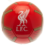 Liverpool FC Fodbold - Størrelse 5